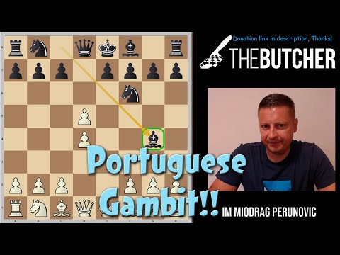 KILL the Portuguese Gambit!!
