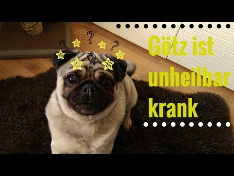 Rückenschmerzen im Lendenwirbelbereich und ziehen das Bein Ursachen Wie das Kniegelenk nach dem Bruch entwickeln