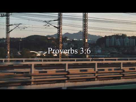 [𝑪𝑪𝑴 𝑷𝒊𝒂𝒏𝒐 𝑷𝒍𝒂𝒚𝒍𝒊𝒔𝒕] 그리하면 네 길을 지도하시리라