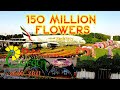 DUBAI MIRACLE GARDEN 2020 2021 WORLD S LARGEST GARDEN 9th SEASON AMIGO