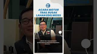 Viral Balap Motor Trail Sebabkan Lahan Edelweiss Rusak, Ridwan Kamil Minta Panitia Tanggung Jawab
