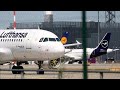 Lufthansa Strike More Than 1 000 Flights Cancelled As Staff Walk Out Over Pay