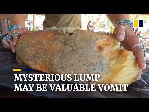 Thai man finds whale vomit that could be US$500,000 worth
