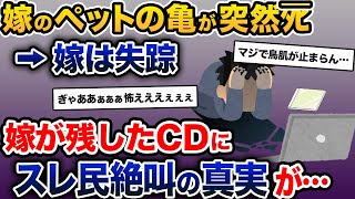 【伝説のスレ】嫁のペットの亀がタヒんだ。俺「寿命だったんだよ」嫁「違うの!」→スレ民絶叫の真相が明らかに…【2ch修羅場スレ・ゆっくり解説】【前編】