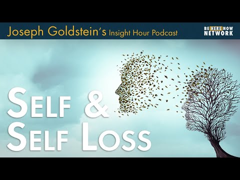 Joseph Goldstein on Self and Self Loss - Insight Hour Ep. 167