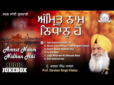 Prof. Darshan Singh Ji Khalsa - Amrit Naam Nidhan Hai