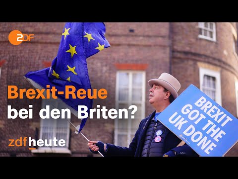 Persönliche Schicksale und schwache Wirtschaft: Bilanz nach zwei Jahren Brexit | auslandsjournal
