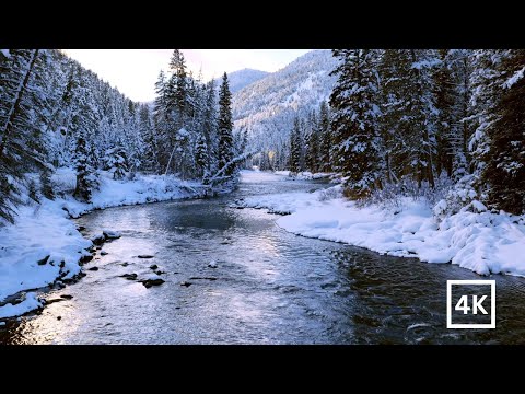 4K White Forest River | Snowy Mountain Sunset | Winter Nature Ambience