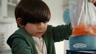 Stonyfield yogurt - the lunch box critic