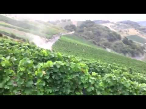 Hohlheimer / Mergen WRC RallyeDeutschland 2011