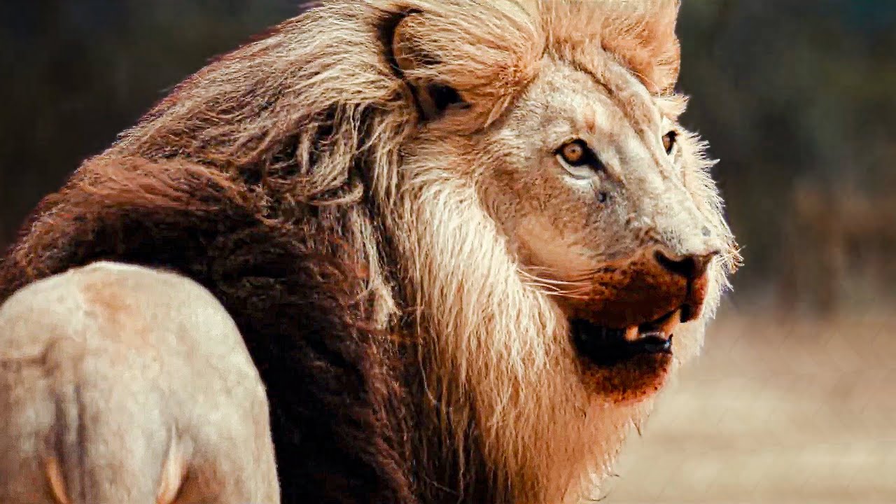 Ryan Phillippe Reveals New Movie Inspired a Desire for a Closer God Connection