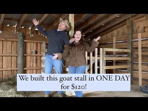 Goat Birthing Stall: 1 day build, $120 || Preparing for Kidding on the Homestead 🐐🐐🐐