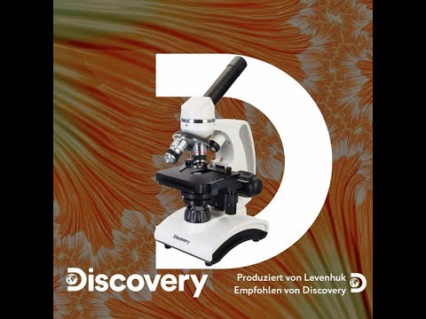 Levenhuk Discovery Atto Mikroskope Rezension