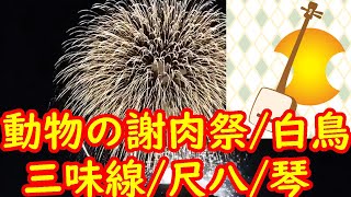 Download lagu カミーユ・サン=サーンス「動物の謝肉祭・白鳥」三味線/尺八/琴演奏　ー　Charles Camille Saint-Saëns「Le carnaval des animaux・Le cygne」 mp3