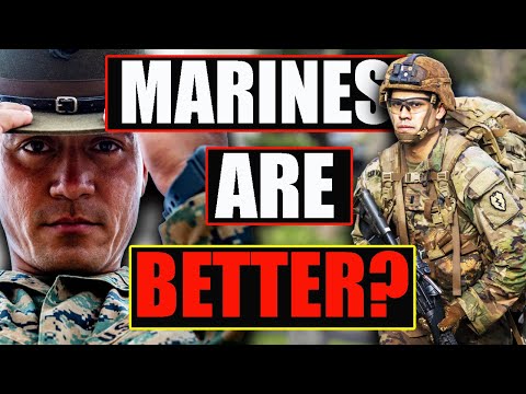 Why EVERY Branch HATES The U.S. Army?! (They're not the brightest...)