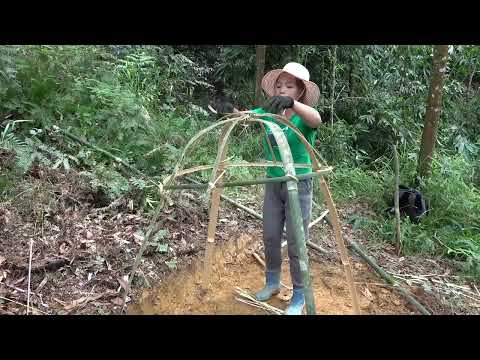 Full Video 120 Days Building Survival Perfect, Bushcraft Shelter, Free Life Living Off Gird