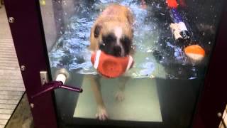 "The Washing Machine - Bogey"