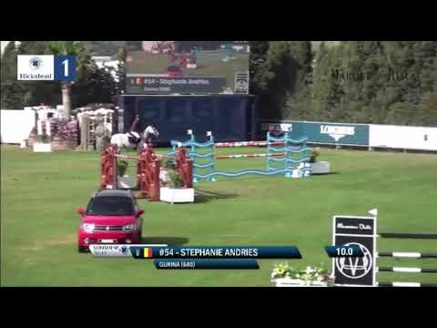 ‘Gurina’ mare 2011 by Corland x Argentinus SGP 3* 145LR Sunshinetour