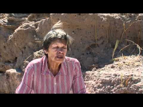 Nostalgia de la luz   Muestra Documentales en el parque