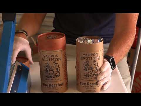 download lagu mp3 mp4 How To Make Yaupon Tea, download mp3 How To Make Yaupon Tea free download mp3, download mp3 How To Make Yaupon Tea
