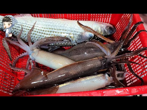 Assorted Seafood Sashimi Songdo Fish Market Pohang Korea 포항 송도 활어회센터 해물모듬회 24 squid etc