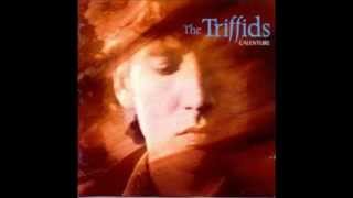 the Triffids - hometown farewell kiss