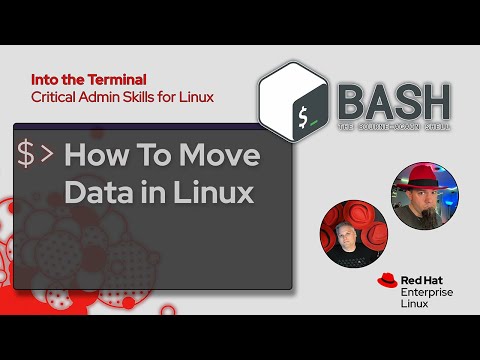 Network data transfer basics, including rsync  | Into the Terminal 161