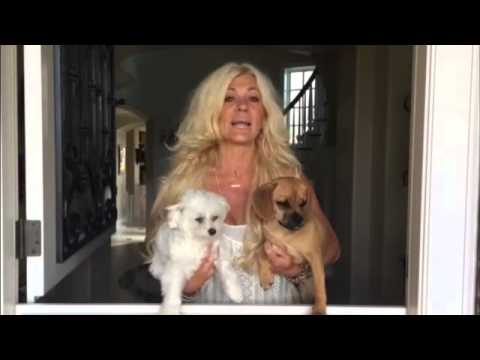 Maria tipsar - Hur får man isbitar utan vatten