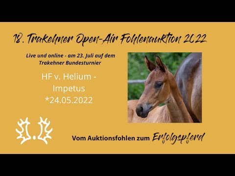 Kat.-Nr.11 HF v. Helium - Impetus