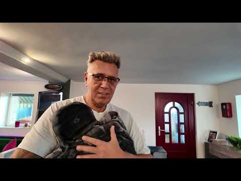 Die Fussbroichs alles für die Katz