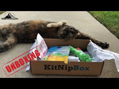 Optibotimus UNBOXING: KITNIPBOX November 2017 TUX BIRTHDAY VIDEO!!