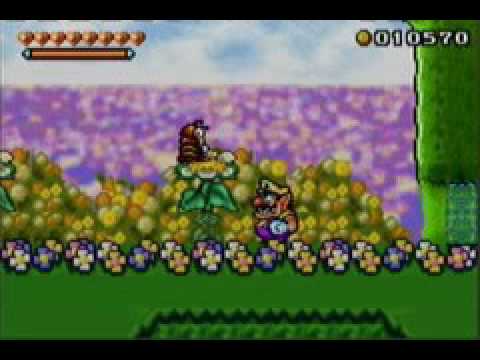 Wario Land 4 - Wildflower Fields [S-Hard] score run (32810)