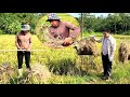 Hoi Was Very Surprised When He Accidentally Met Hong In The Rice Field Of Police Luyen