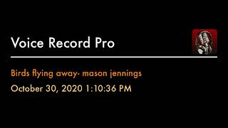 Birds flying away - mason jennings