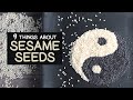 SESAME SEEDS Pros And Cons Black Vs White