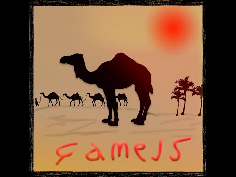 Enerjake - Camels