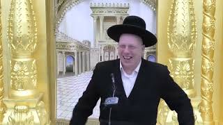 הרב ליאור גלזר פרשת ויצא   יביע אומר