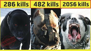 दुनिया के सबसे खतरनाक कुत्ते | Top 10 dangerous dog breeds in the world 2020 [Hindi]