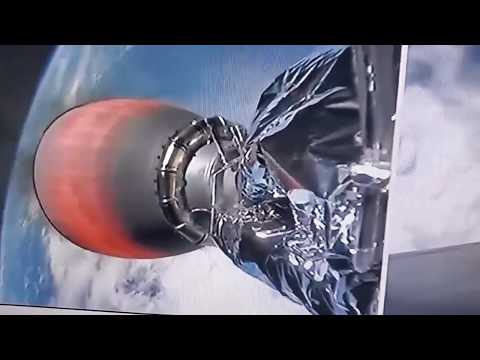 Elon Musk SpaceX Crew Dragon rocket launched with a mouse hitchhiking