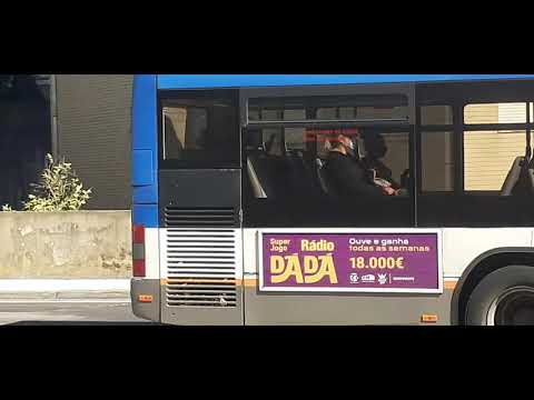 STCP linha 805 veiculo 3081