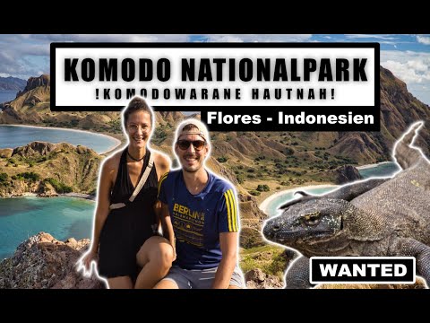 Tagestour Komodo Nationalpark - Padar Island, Pink Beach, Schnorcheln und Komodowarane hautnah!