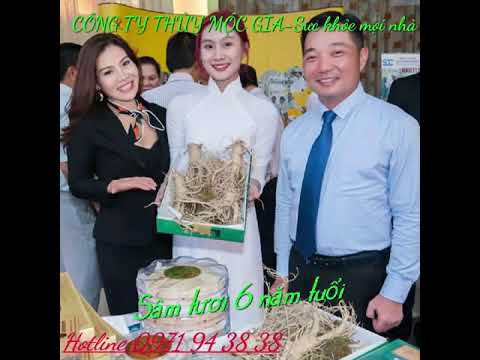 THỦY MỘC GIA TẠI CÁC HỘI CHỢ