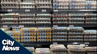 Consumers bear cost of energy prices and inflation