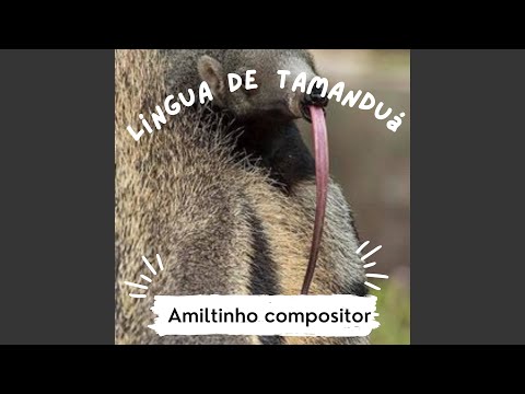 Língua de Tamanduá