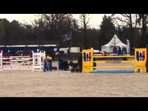 Bakar DKG: Young Horses Tour Lanaken 3.4.2016 1.30m (April 2016)