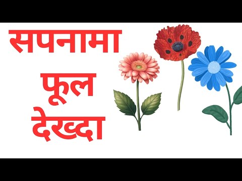 सपनामा फूल देख्दा के हुन्छ ? Sapanama ful dekhe k hunxa । Sapana ma ful ।