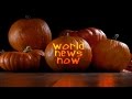 Everything Pumpkin For Fall