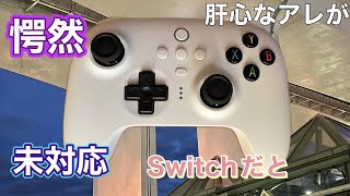 【非純正】Switch対応8BitDo有線コントローラーが予想外だった【PCアプリ対応】