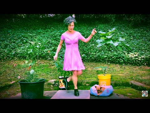 TGIF Stone's Rag Buckdance & Fiddle both by Miss Moonshine - Thai Chili and Cute Dog