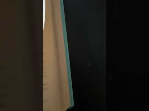 “Wonder” by R.J. Palacio pages 17-23